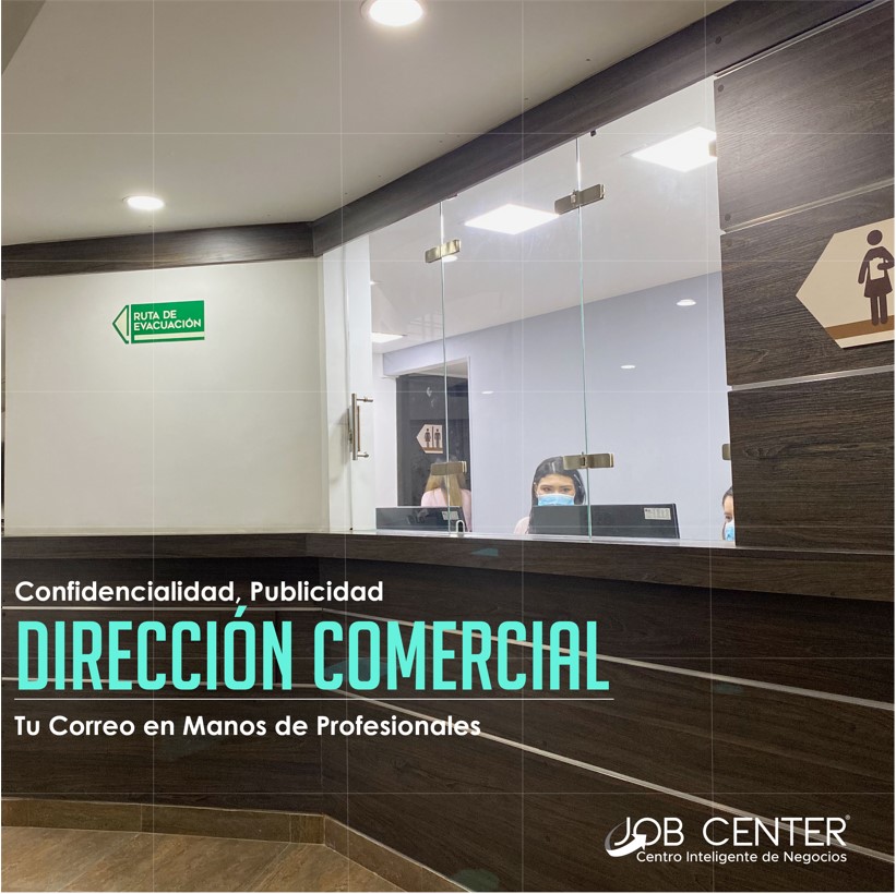 Screenshot 110 SEDES