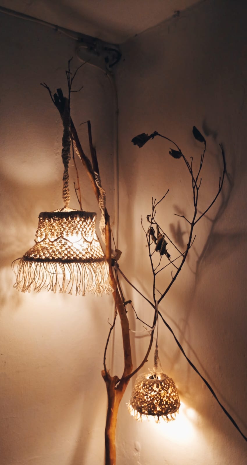 WhatsApp Image 2024 05 21 at 6.12.03 PM 1 #CreciendoJuntos - Manos de amor.