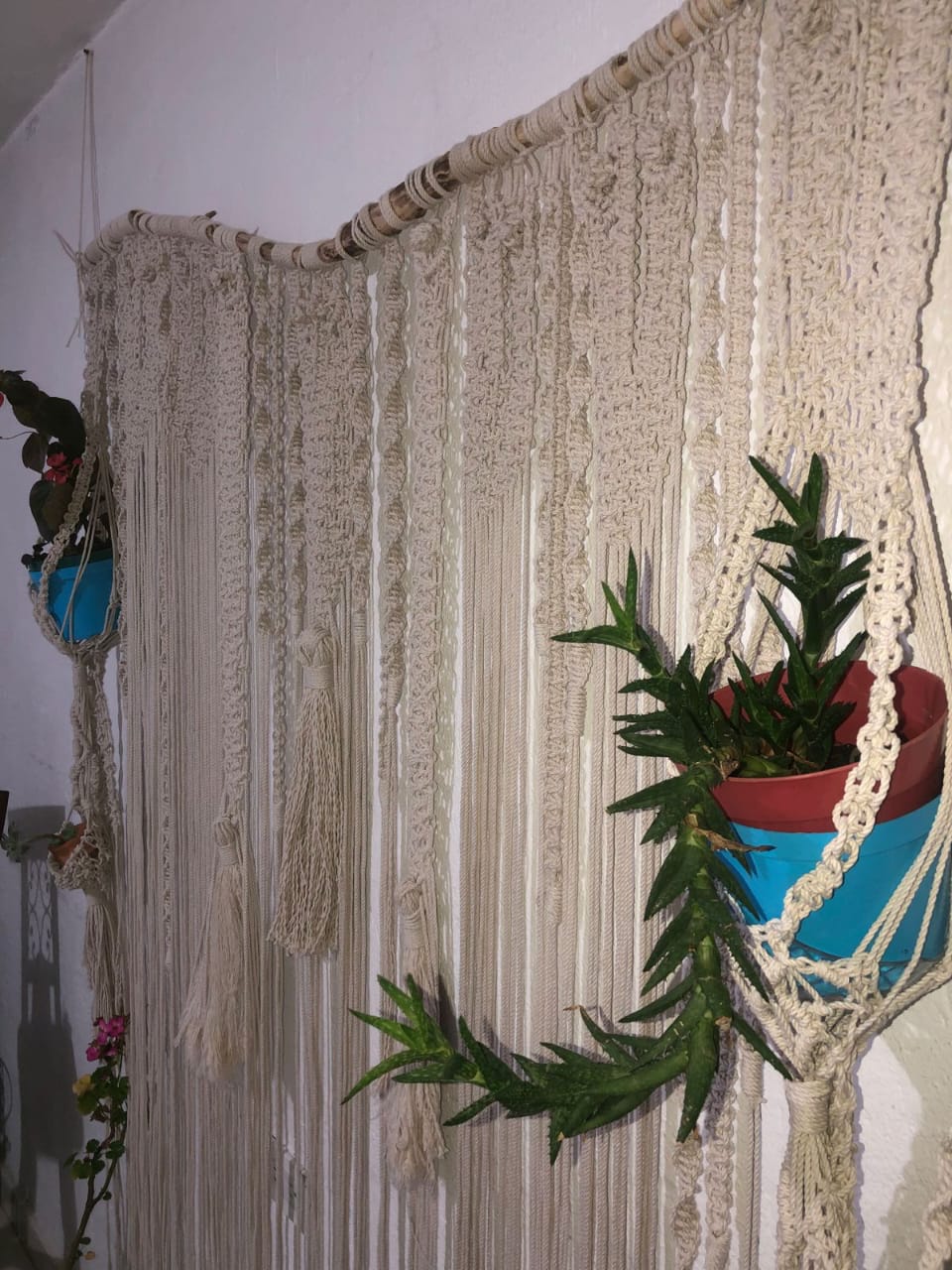 WhatsApp Image 2024 05 21 at 6.12.03 PM #CreciendoJuntos - Manos de amor.